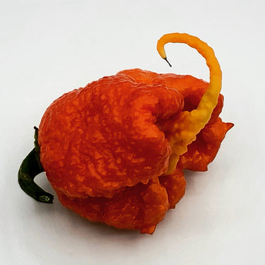 Fresh Carolina Reaper Peppers